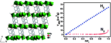 Graphical abstract: Microwave synthesis and single-crystal-to-single-crystal transformation of magnesium coordination polymers exhibiting selective gas adsorption and luminescence properties