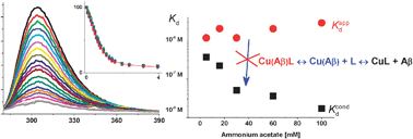 Graphical abstract: The Cu(ii) complex of Aβ40 peptide in ammonium acetate solutions. Evidence for ternary species formation
