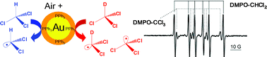 Graphical abstract: Radical intermediates in chloroform reactions over triphenylphosphine-protected Au nanoparticles