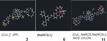 Graphical abstract: Ni(II), Co(II), Cu(II), Zn(II) and Na(I) complexes of a hybrid ligand 4′-(4‴-benzo-15-crown-5)-methyloxy-2,2′:6′,2″-terpyridine