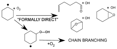 Graphical abstract: Formally direct pathways and low-temperature chain branching in hydrocarbon autoignition: the cyclohexyl + O2 reaction at high pressure