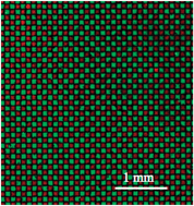 Graphical abstract: High-density peptide arrays