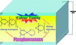 Graphical abstract: Functional metallophosphors for effective charge carrier injection/transport: new robust OLED materials with emerging applications