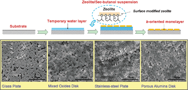 Graphical abstract: Fabrication of highly b-oriented MFI monolayers on various substrates