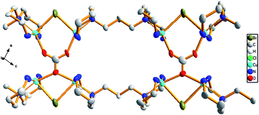 Graphical abstract: Hexamine copper(II) coordination polymers: synthesis, structure and magnetic properties