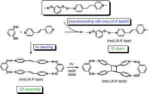 Graphical abstract: Engineering cocrystal and polymorph architecture via pseudoseeding