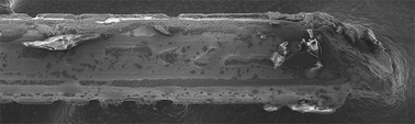 Graphical abstract: Chemical and morphological changes on platinum microelectrode surfaces in AC and DC fields with biological buffer solutions