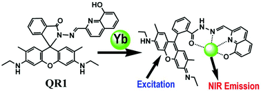 Graphical abstract: Efficient near-infrared emission of a Ytterbium(iii) compound with a green light rhodamine donor