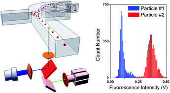 Graphical abstract: Single-layer planar on-chip flow cytometer using microfluidic drifting based three-dimensional (3D) hydrodynamic focusing