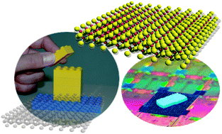 Graphical abstract: Exfoliated oxide nanosheets: new solution to nanoelectronics