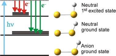 Graphical abstract: Photodetachment-photoelectron spectroscopy of disulfanide: the ground and first excited electronic state of HS2 and DS2