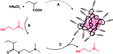 Graphical abstract: Shape auxiliary approach for carboxylate-functionalized gold nanocrystals