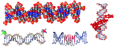 Graphical abstract: DNA as supramolecular scaffold for functional molecules: progress in DNA nanotechnology