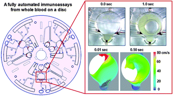 Graphical abstract: A fully automated immunoassay from whole blood on a disc