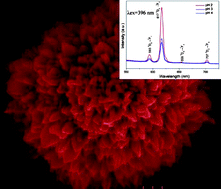 Graphical abstract: New red phosphor with a high color purity: controlled synthesis of 3D architectures of YW2O6(OH)3 : Eu