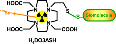 Graphical abstract: A novel tetraazamacrocycle bearing a thiol pendant arm for labeling biomolecules with radiolanthanides