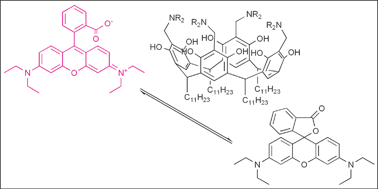 Graphical abstract: Interaction of aminomethylated resorcinarenes with rhodamine B