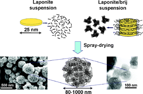 Graphical abstract: Laponite and hybrid surfactant/laponite particles processed as spheres by spray-drying