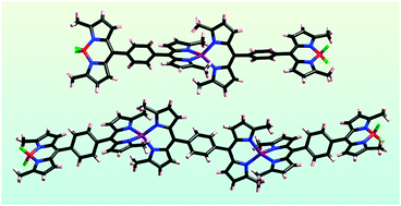 Graphical abstract: Self-assembly of oligomeric linear dipyrromethene metal complexes