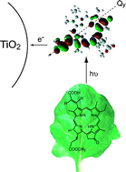Graphical abstract: Extension of π-conjugation length along the Qy axis of a chlorophylla derivative for efficient dye-sensitized solar cells