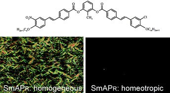 Graphical abstract: Syntheses and characterization of novel asymmetric bent-core mesogens exhibiting polar smectic phases