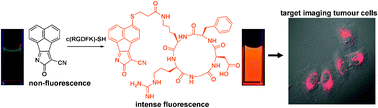 Graphical abstract: A photostable fluorescent probe for targeted imaging of tumour cells possessing integrin αvβ3**