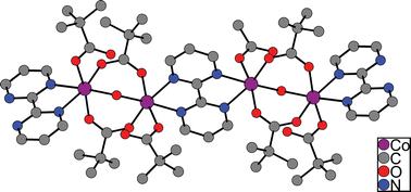 Graphical abstract: “Structural and magnetic characterization of a 1D chain of [Co(II)2(μ-aqua)(μ-carboxylate)2] strung cores”