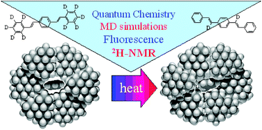 Graphical abstract: Dynamics of guest molecules in PHTP inclusion compounds as probed by solid-state NMR and fluorescence spectroscopy