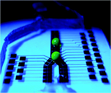 Graphical abstract: Hybrid microfluidics: A digital-to-channel interface for in-line sample processing and chemical separations