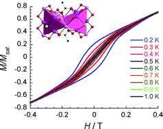 Graphical abstract: Two edge-sharing MnII4MnIII6 supertetrahedra give an anisotropic S = 28 ± 1 MnII6MnIII11 complex