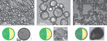 Graphical abstract: Hollow microspheres with binary porous membranes from solid-stabilised emulsion templates