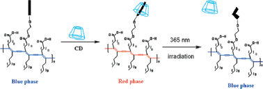 Graphical abstract: Photo-controlled molecular recognition of α-cyclodextrin with azobenzene containing polydiacetylene vesicles