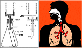 Graphical abstract: Comparison of nickel release in solutions used for the identification of water-soluble nickel exposures and in synthetic lung fluids