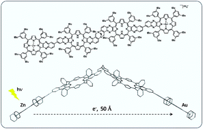 Graphical abstract: The photophysics of selectively metallated arrays of quinoxaline-fused tetraarylporphyrins