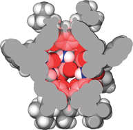 Graphical abstract: A self-assembled chiral capsule with polar interior