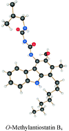 Graphical abstract: First total synthesis of the whole series of the antiostatins A and B