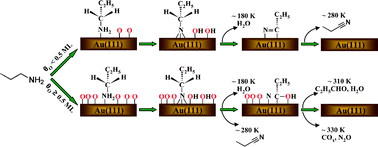 Graphical abstract: Selective oxidation of propylamine to propionitrile and propionaldehyde on oxygen-covered gold