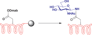 Graphical abstract: Efficient use of the Dmab protecting group: applications for the solid-phase synthesis of N-linked glycopeptides