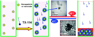 Graphical abstract: Triton X-114 based cloud point extraction: a thermoreversible approach for separation/concentration and dispersion of nanomaterials in the aqueous phase