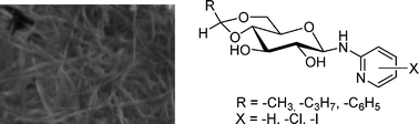 Graphical abstract: Novel saccharide–pyridine based gelators: selective gelation and diversity in superstructures