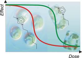 Graphical abstract: Toxicity of imidazolium and pyridinium based ionic liquids towards algae. Chlorella vulgaris, Oocystis submarina (green algae) and Cyclotella meneghiniana, Skeletonema marinoi (diatoms)