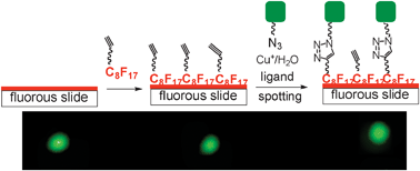 Graphical abstract: Functionalization of fluorous thin films via “click” chemistry