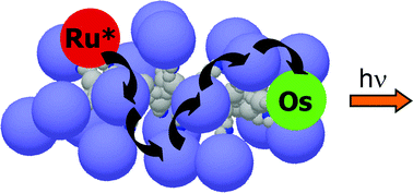 Graphical abstract: Efficient, long-range energy migration in RuII polypyridyl derivatized polystyrenes in rigid media. Antennae for artificial photosynthesis