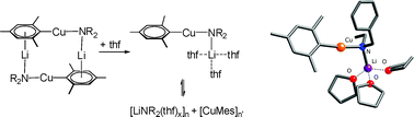 Graphical abstract: The influence of tetrahydrofuran on the structures and reactivities of lithium organo-amidocuprates