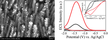 Graphical abstract: CdS-Ag nanocomposite arrays: enhanced electro-chemiluminescence but quenched photoluminescence