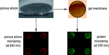 Graphical abstract: Gel-pad microarrays templated by patterned porous silicon for dual-mode detection of proteins