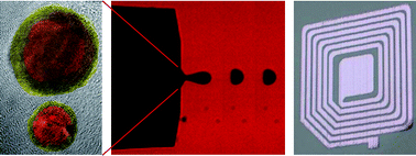 Graphical abstract: Formation of air-stable copper–silver core–shell nanoparticles for inkjet printing