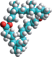 Graphical abstract: Macrocyclic bile acids: from molecular recognition to degradable biomaterial building blocks