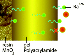 Graphical abstract: Radium analysis by sector field ICP-MS in combination with the Diffusive Gradients in Thin Films (DGT) technique