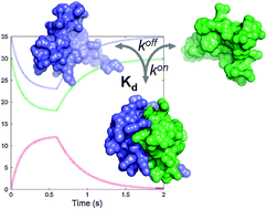 Graphical abstract: Fast predictions of thermodynamics and kinetics of protein–protein recognition from structures: from molecular design to systems biology